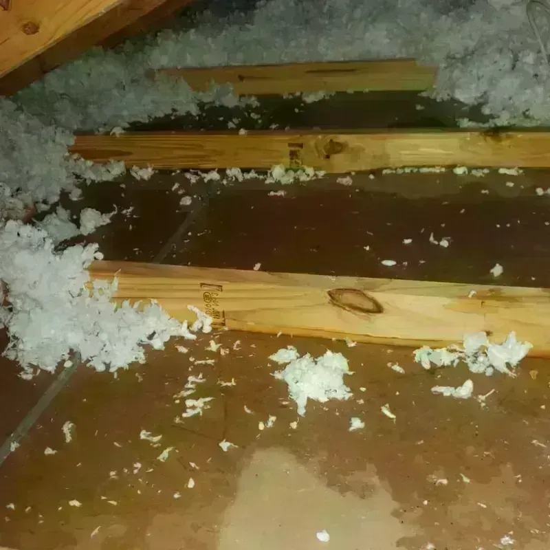 Attic Water Damage in Middleburg, FL