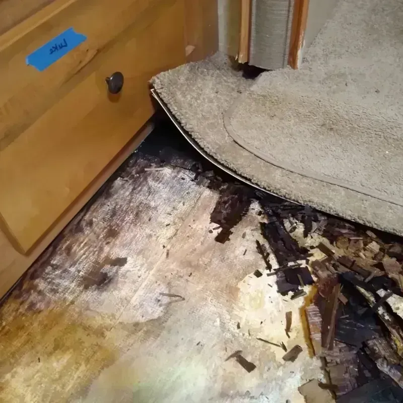 Wood Floor Water Damage in Middleburg, FL